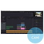 Fairlight/Audio in DaVinci Resolve Lernkurs Activation Code