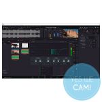 Fairlight/Audio in DaVinci Resolve Lernkurs Activation Code