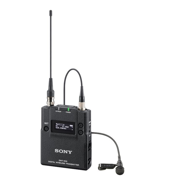 SONY DWT-B30/L